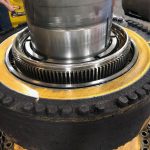birrana contamination seal set in wheel group